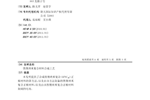 鐵鋰納米復(fù)合材料合成工藝