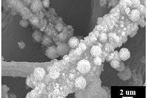 氮摻雜碳管負(fù)載Ni@C微米花鋰離子電池負(fù)極材料的制備方法