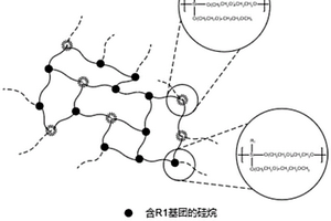 固態(tài)聚合物電解質(zhì)和全固態(tài)鋰離子電池