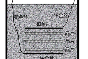 近化學(xué)計量比鉭酸鋰晶片的極化方法