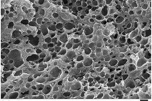 三維多孔磷酸錳鋰、其制備方法及用途