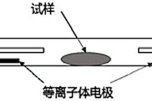 摻雜氟和硫的鋰電池電極導(dǎo)電劑材料的制備方法及其用途