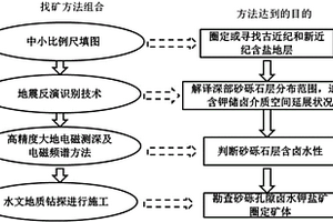 盆地區(qū)深層鹵水鉀鹽或鋰鹽礦勘探方法