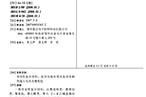 導(dǎo)電性復(fù)合材料、復(fù)合電極和使用復(fù)合電極的超大電容及鋰電池