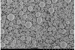 球形磷酸鐵鋰正極材料的制備方法及應用