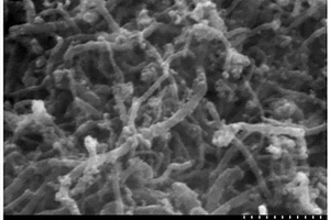 四氧化三鐵-碳納米管鋰電池負極材料的制備方法