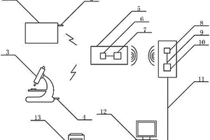 鋰電供電的儲存單個人體的結核病信息的RFID系統(tǒng)