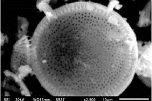 以硅藻土為原料制備鋰離子電池多孔硅二氧化鈦復合負極材料的方法