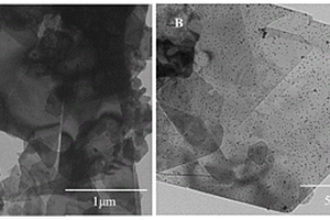 鋰離子電池正極材料Ni(OH)<sub>2</sub>@Au及其制備方法、應(yīng)用