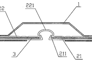 鋰離子動(dòng)力電池專用蓋