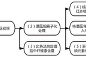 陽(yáng)離子化蘑菇導(dǎo)離子膜的制備方法及其在鋰離子電池中的應(yīng)用