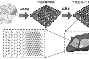 納米碳?xì)へ?fù)載鉬基異質(zhì)結(jié)的簡易構(gòu)筑方法及其在鋰硫電池中的應(yīng)用