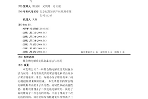 聚合物電解質(zhì)及其制備方法與應(yīng)用