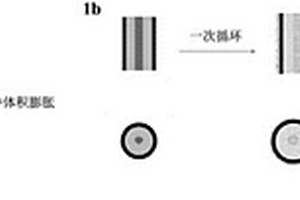 結(jié)晶/無定形硅?碳納米線及其制備方法和應(yīng)用