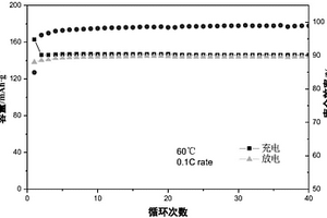 固態(tài)化電解質(zhì)及其制備和應(yīng)用