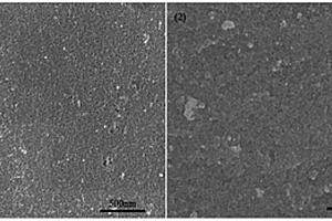 氮摻雜碳?xì)饽z及其制備方法