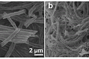 Ti<Sub>3</Sub>C<Sub>2</Sub>T<Sub>x</Sub> MXene一維空心納米管及其制備方法和應(yīng)用