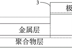 集流體和鋰離子電池