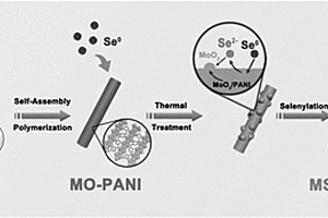 固相共熱合成二硒化鉬/氮摻雜碳棒的方法