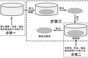 鋅離子電池的凝膠電解質(zhì)及其制備方法與應(yīng)用