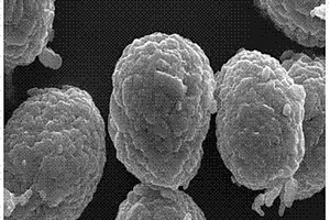 NCM811型高鎳三元正極材料制備方法