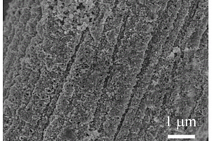 LiFe<Sub>X</Sub>Co<Sub>1-X</Sub>PO<Sub>4</Sub>/N-C/CC復(fù)合材料的制備方法