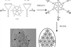 基于核心分子的分子組裝超級(jí)結(jié)構(gòu)材料、制備方法與應(yīng)用