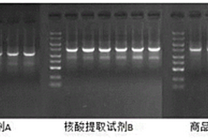 核酸提取試劑和核酸提取方法