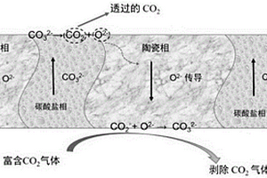 以陶瓷材料為支撐體的陶瓷-碳酸鹽致密雙相無機(jī)膜