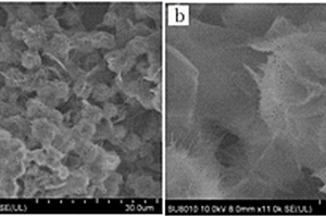 LiNi<sub>0.8</sub>Co<sub>0.2</sub>O<sub>2</sub>材料的制備方法及其應(yīng)用