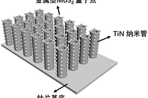 金屬型二硫化鉬量子點(diǎn)修飾的TiN納米管陣列復(fù)合材料及其制備方法