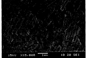 Na-β″-Al2O3固體電解質(zhì)的制備方法