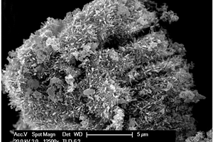 海膽狀釩氧化物納米材料的制備方法