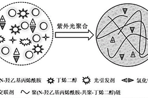 抗凍導(dǎo)電水凝膠及其制備方法和力響應(yīng)傳感應(yīng)用