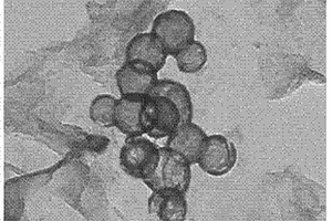 納米磷酸鐵空心球/石墨烯復(fù)合材料及其制備方法