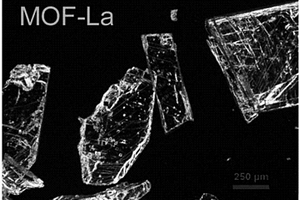 熒光納米探針及其制備方法和其在生物傳感中的應(yīng)用