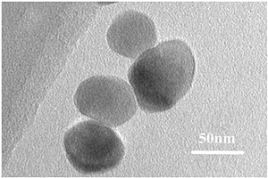 利用環(huán)己醇-水兩相界面反應制備α-Fe<sub>2</sub>O<sub>3</sub>納米顆粒的方法及用途