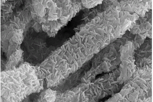 MoS2納米針/碳納米管復(fù)合負(fù)極材料的制備方法
