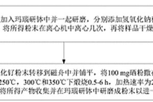 硒化表面修飾二氧化釕納米顆粒催化劑、制備方法及應(yīng)用