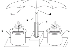 帶有自動(dòng)防護(hù)傘的花盆