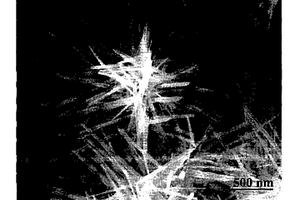 合成α-MnO2微米空心球和納米團(tuán)簇的方法