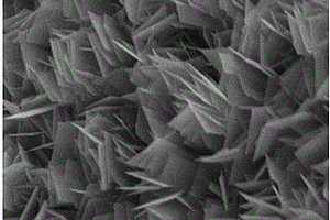 鋅鈷雙金屬硒化物納米片電極及其制備方法