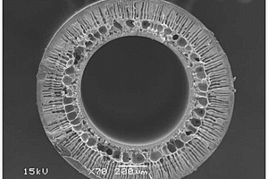 外壓式中空纖維工業(yè)納濾膜及制備方法
