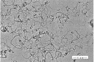 用于化學電源的碳納米管的前處理方法