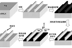 二維質(zhì)子交換MgO:PPLN脊波導(dǎo)的制備方法