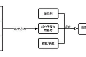 高度離子離域化聚合物固態(tài)電解質(zhì)和全固態(tài)電池