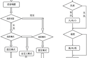 多功能現(xiàn)代化智能語(yǔ)音控制吹風(fēng)機(jī)