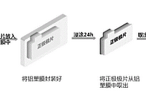 凝膠電解質(zhì)前驅(qū)體及其應(yīng)用