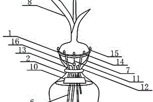 太陽(yáng)能發(fā)電應(yīng)用在無(wú)土栽培郁金香的玻璃瓶上的照明裝置