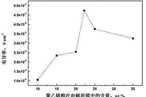 聚氯乙烯基聚合物電解質(zhì)膜的制備方法